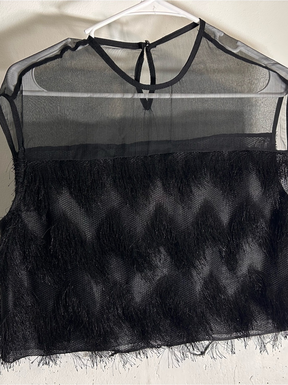 Sheer Black Feather-Trim Crop Top